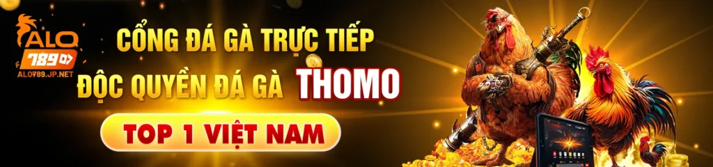 TRANG CHỦ 17 BANNER-ALO789-JB