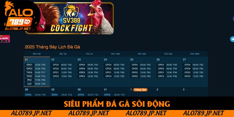 TRANG CHỦ 42 Siêu phẩm đá gà sôi động