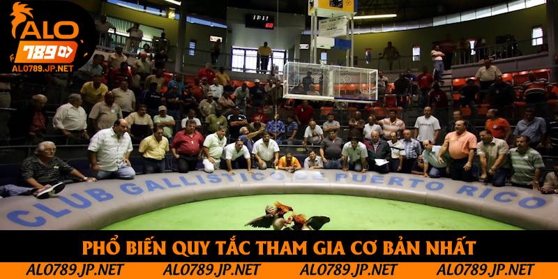 Phổ biến quy tắc tham gia cơ bản nhất