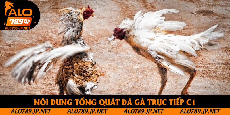 Đá Gà Trực Tiếp C1: Khám Phá Thông Tin Giải Đấu Hấp Dẫn Nhất 2025 2 Nội dung tổng quát đá gà trực tiếp C1
